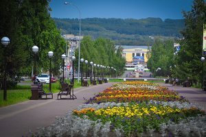 Автошколы в Белово