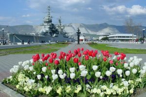 Автошколы в Новороссийске